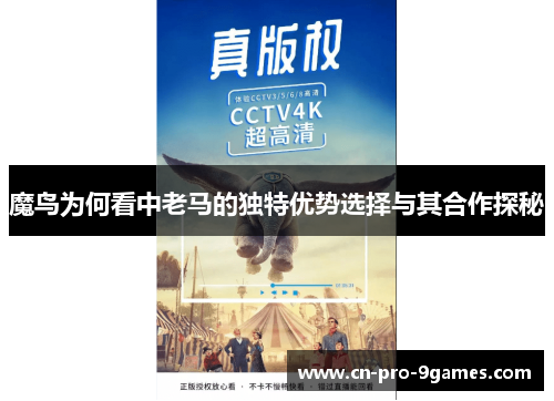 魔鸟为何看中老马的独特优势选择与其合作探秘
